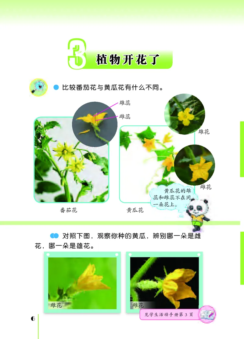 苏教版3年级科学下册高清教材_全部版本&bull;小学科学电子课本_苏教版小学科学电子课本