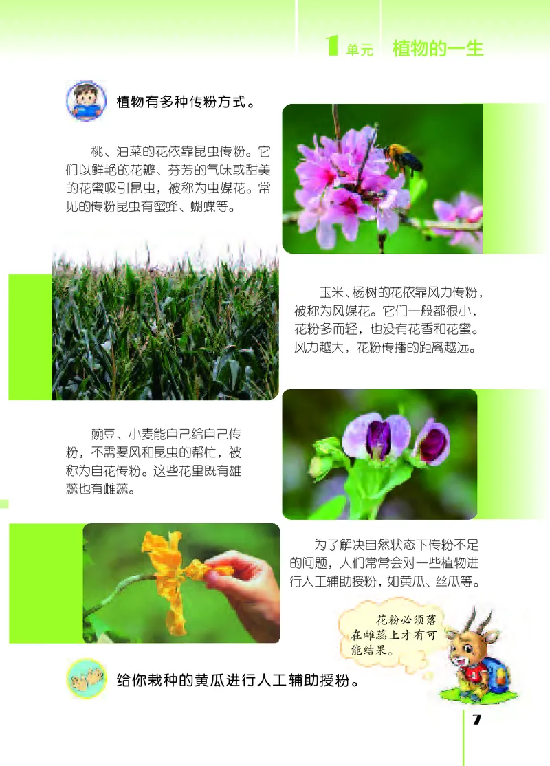 苏教版3年级科学下册高清教材_全部版本&bull;小学科学电子课本_苏教版小学科学电子课本