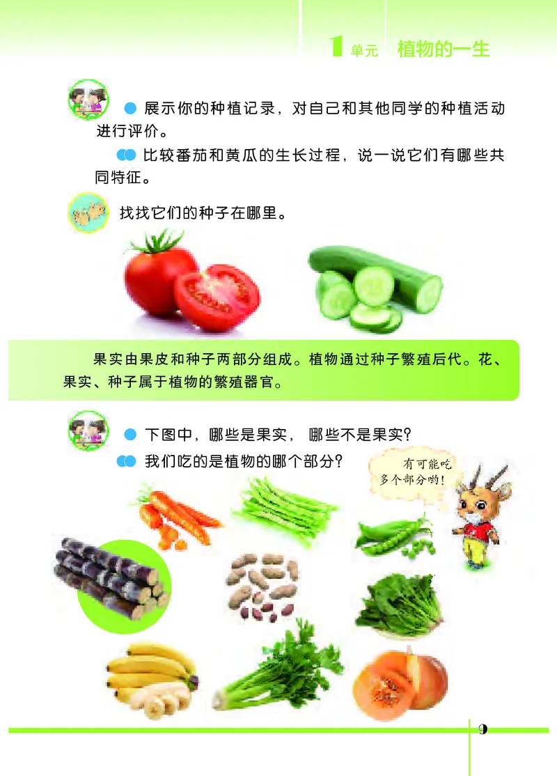 苏教版3年级科学下册高清教材_全部版本&bull;小学科学电子课本_苏教版小学科学电子课本