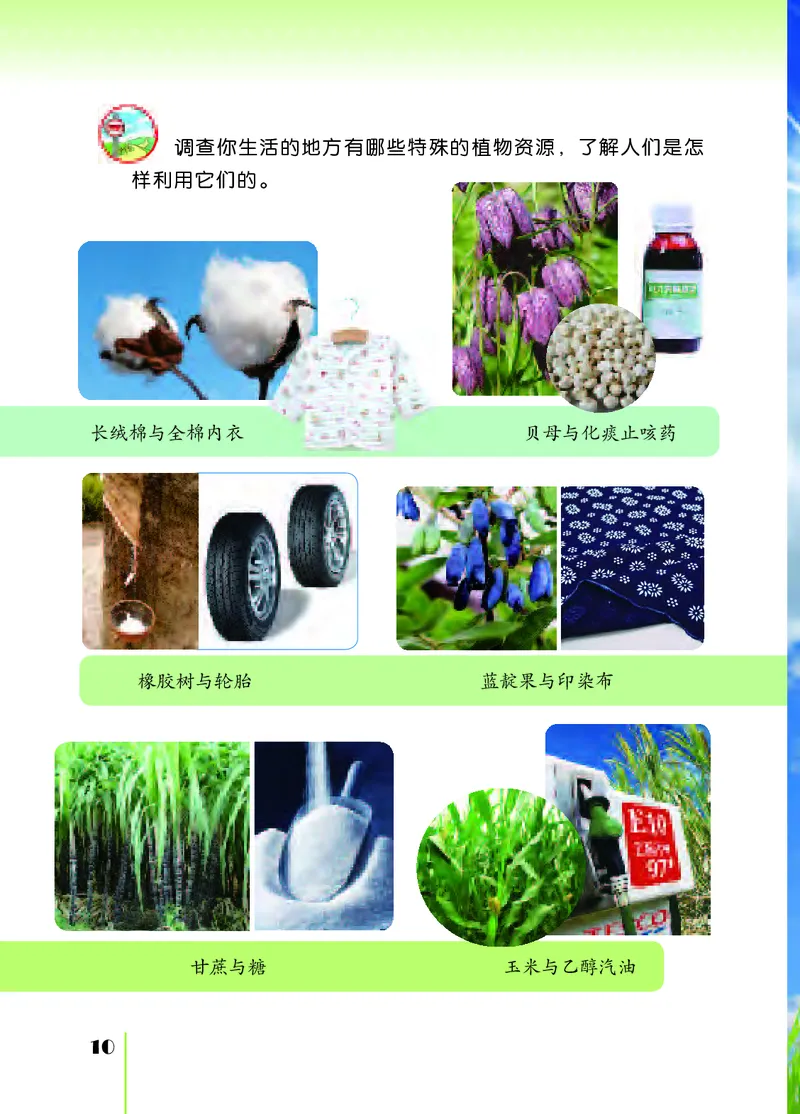 苏教版3年级科学下册高清教材_全部版本&bull;小学科学电子课本_苏教版小学科学电子课本