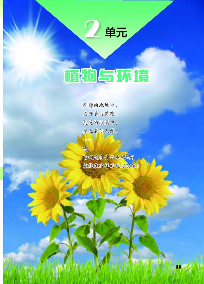 苏教版3年级科学下册高清教材_全部版本&bull;小学科学电子课本_苏教版小学科学电子课本