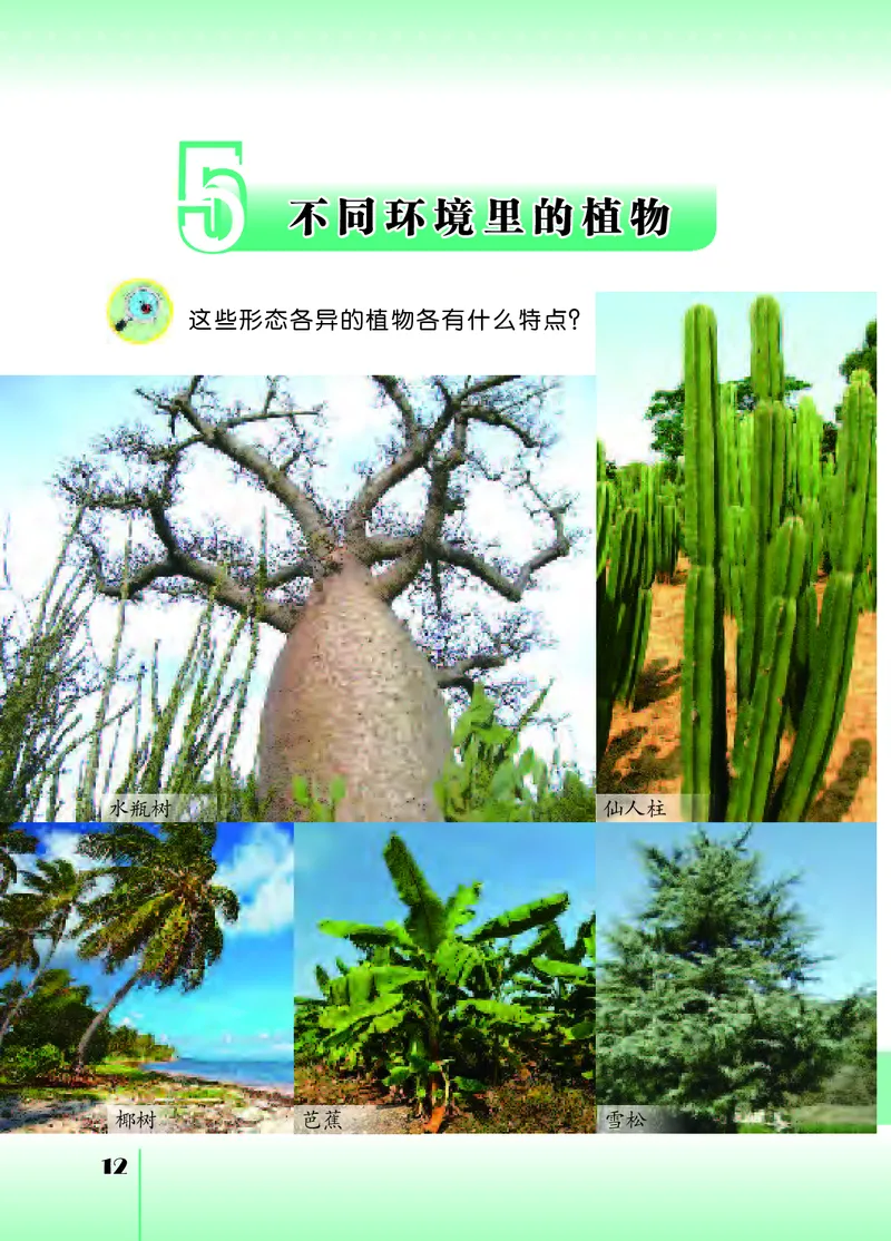 苏教版3年级科学下册高清教材_全部版本&bull;小学科学电子课本_苏教版小学科学电子课本