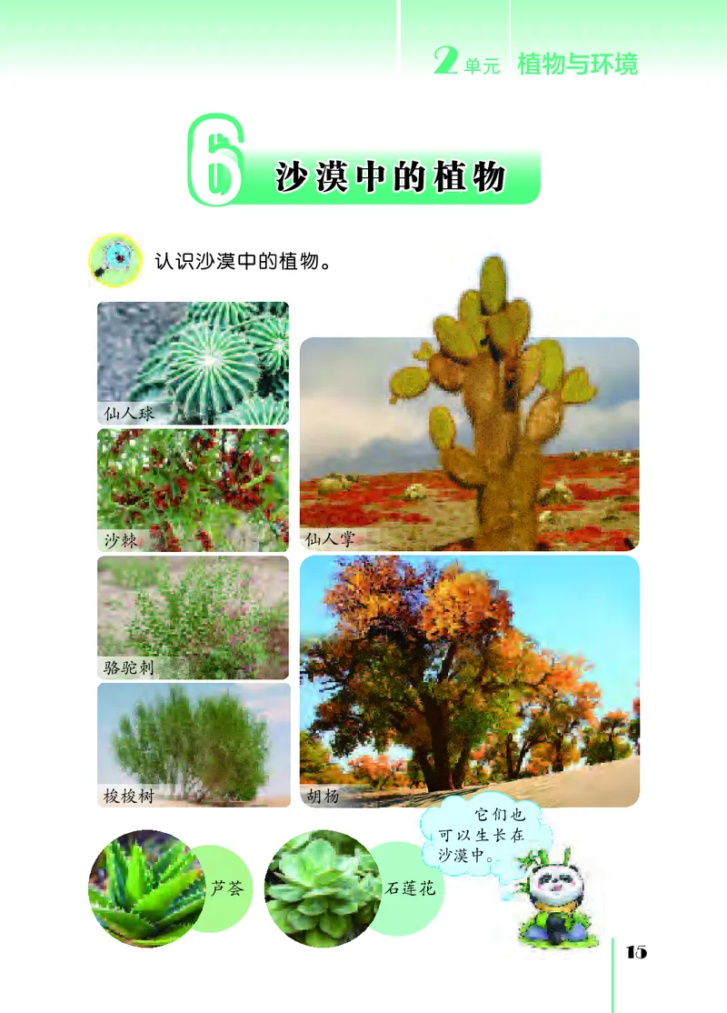 苏教版3年级科学下册高清教材_全部版本&bull;小学科学电子课本_苏教版小学科学电子课本