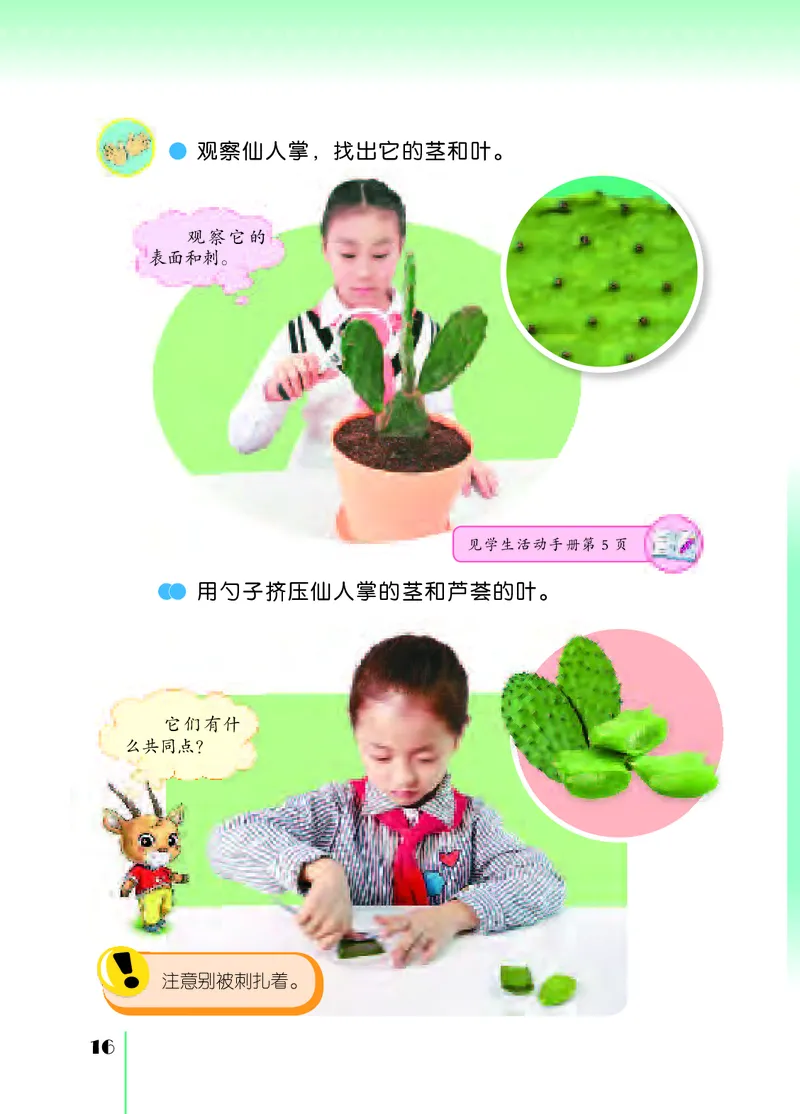 苏教版3年级科学下册高清教材_全部版本&bull;小学科学电子课本_苏教版小学科学电子课本