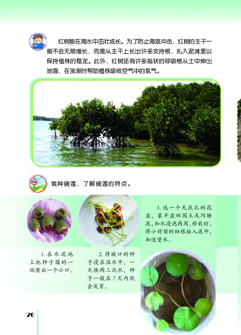 苏教版3年级科学下册高清教材_全部版本&bull;小学科学电子课本_苏教版小学科学电子课本