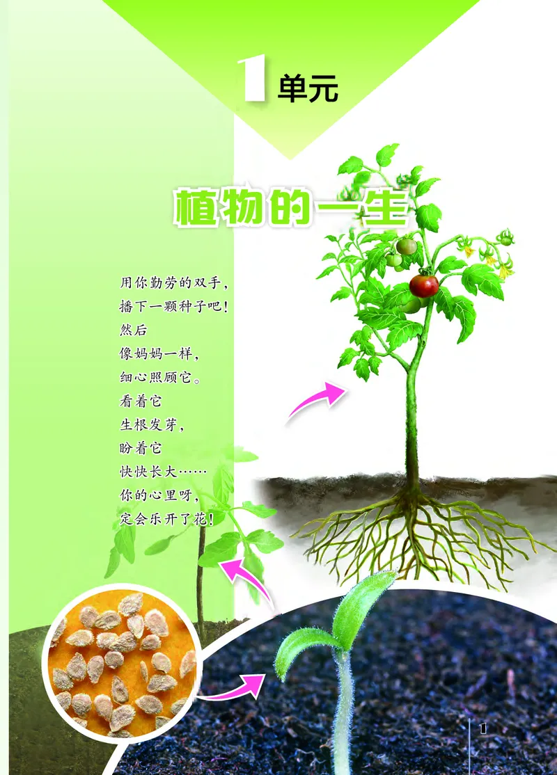 苏教版3年级科学下册高清教材_全部版本&bull;小学科学电子课本_苏教版小学科学电子课本