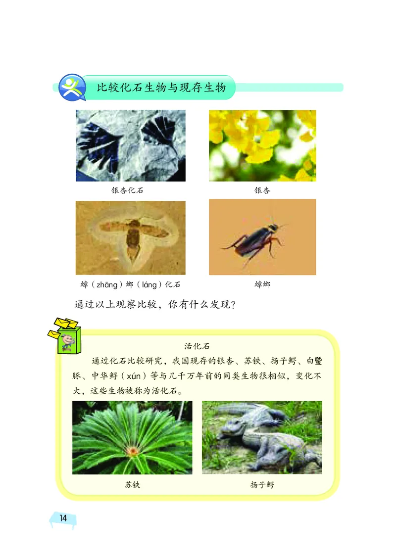 湘科版6年级科学下册高清教材_全部版本&bull;小学科学电子课本_湘科版小学科学电子课本