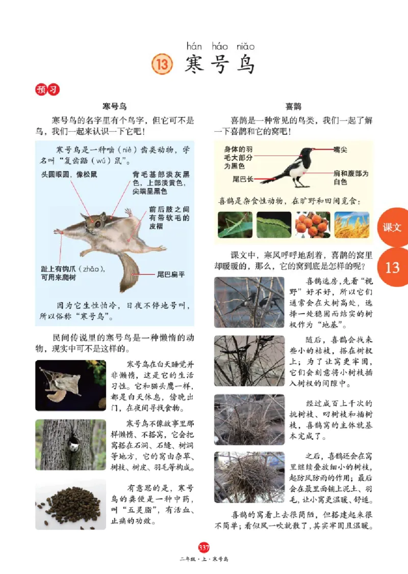 J2-2年级-六三版_二年级上下册资料_小学二年级学习资料-25年更新版_2-01、小学二年级语文上册_2-1-2、练习题、作业、试题、试卷_电子册类_《绘本课堂》语文2年级上册（RJ）