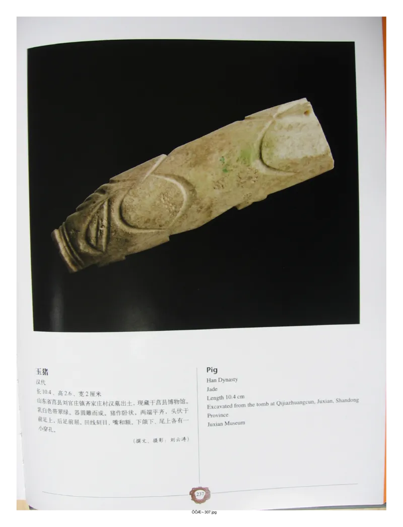 中国出土玉器全集(4)山东_部分4_X018-玉石珠宝鉴定教程最新合集_5、玉石鉴定专题全套课程_玉石电子书_中国出土玉石全集