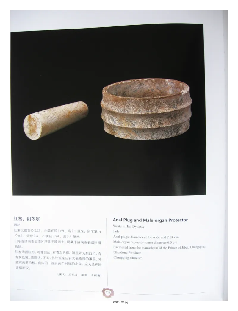 中国出土玉器全集(4)山东_部分4_X018-玉石珠宝鉴定教程最新合集_5、玉石鉴定专题全套课程_玉石电子书_中国出土玉石全集