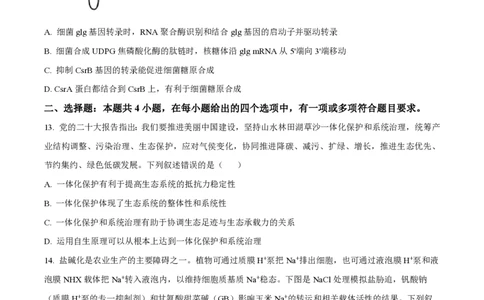 2023年高考生物试卷（湖南）（空白卷）_生物历年高考真题_新&middot;PDF版2008-2025&middot;高考生物真题_生物（按试卷类型分类）2008-2025_自主命题卷&middot;生物（2008-2025）_湖南自主命题&middot;生物（2021-2025）