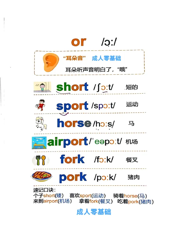 自然拼读-单词6.27_小学全网线上同款资料_28号文件小初英语
