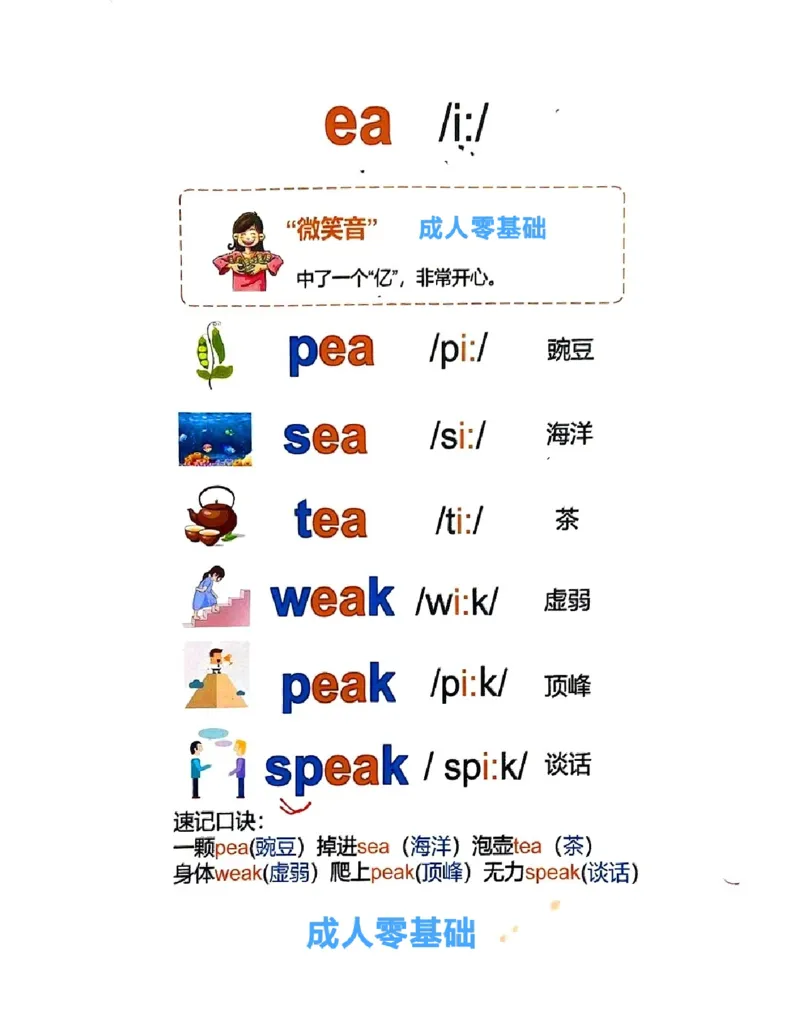 自然拼读-单词6.27_小学全网线上同款资料_28号文件小初英语