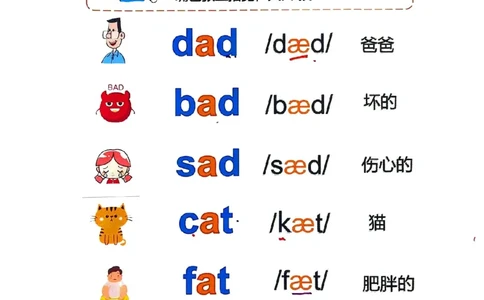 自然拼读-单词6.27_小学全网线上同款资料_28号文件小初英语