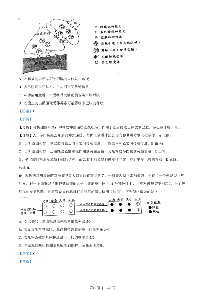 2022年高考生物试卷（广东）（解析卷）_生物历年高考真题_新&middot;PDF版2008-2025&middot;高考生物真题_生物（按省份分类）2008-2025_2008-2025&middot;（广东）生物高考真题