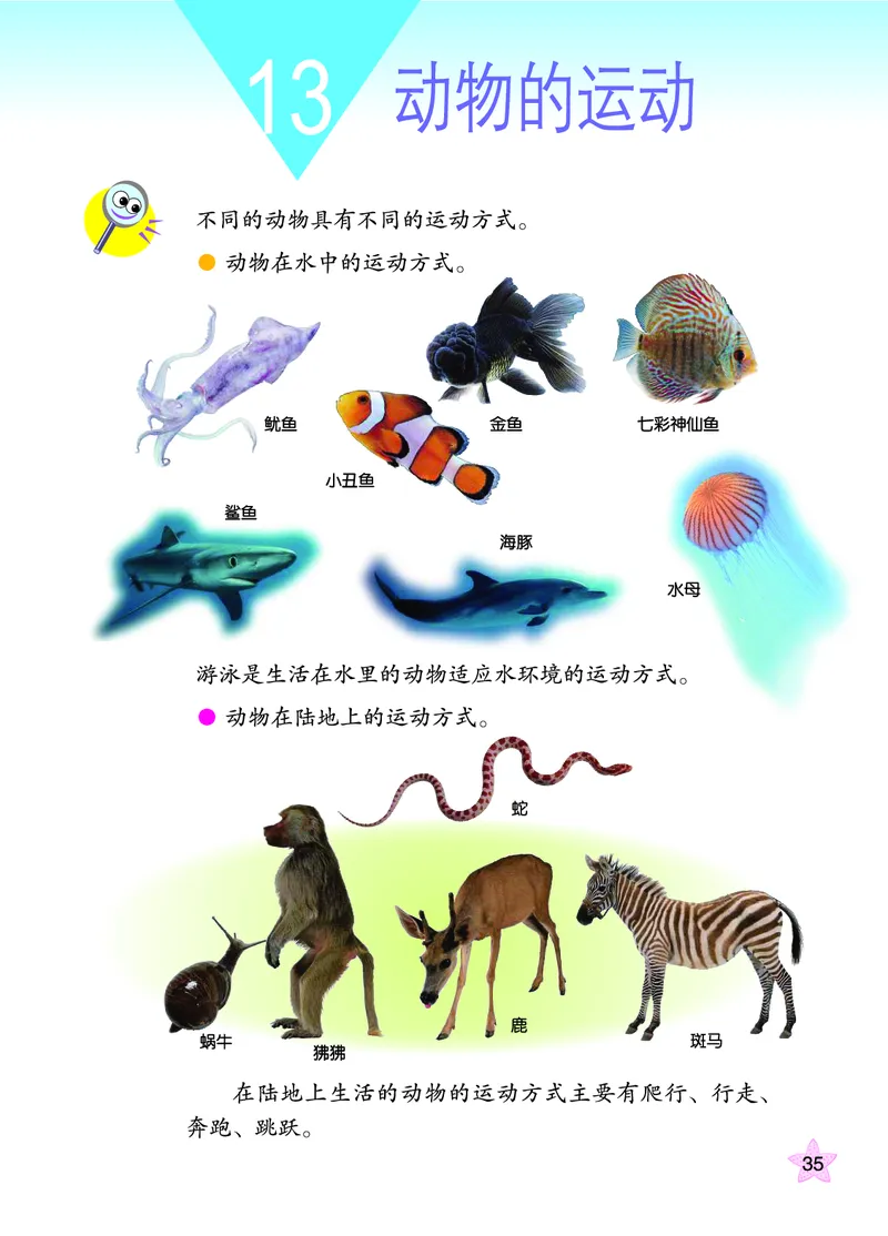 青岛版6年级科学上册高清教材_全部版本&bull;小学科学电子课本_青岛版63制小学科学课本