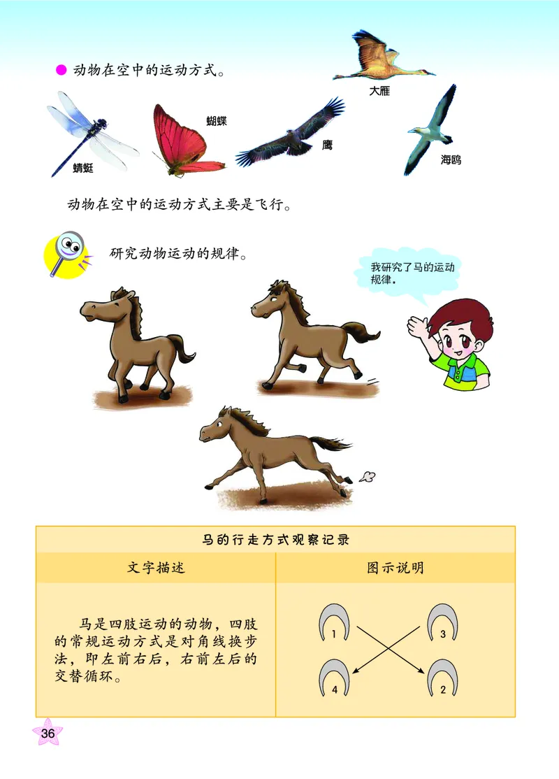 青岛版6年级科学上册高清教材_全部版本&bull;小学科学电子课本_青岛版63制小学科学课本