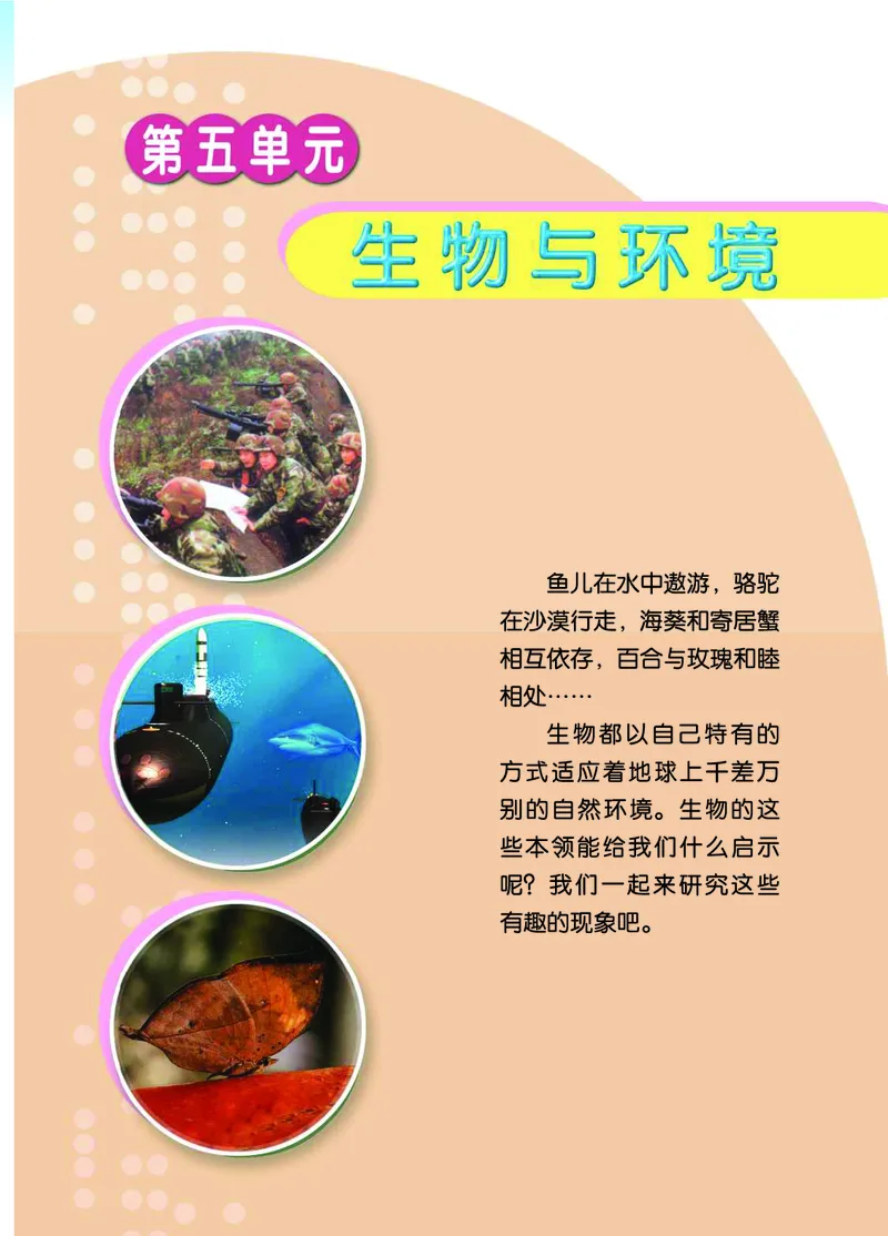 青岛版6年级科学上册高清教材_全部版本&bull;小学科学电子课本_青岛版63制小学科学课本