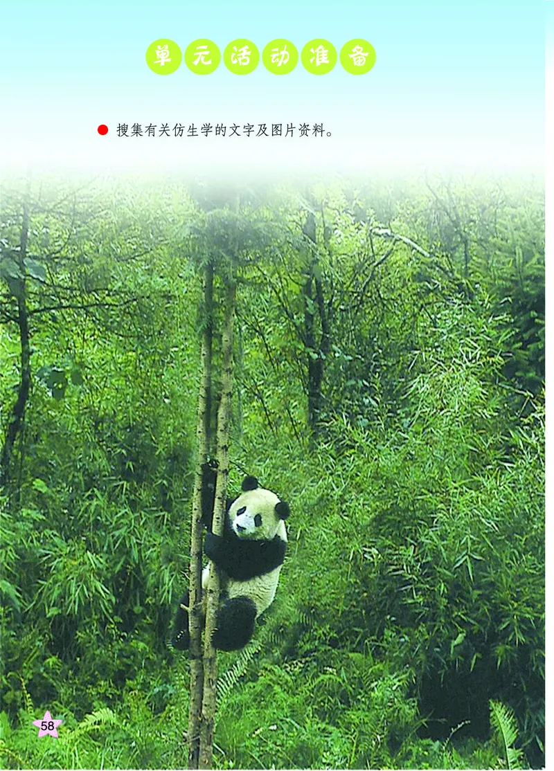 青岛版6年级科学上册高清教材_全部版本&bull;小学科学电子课本_青岛版63制小学科学课本