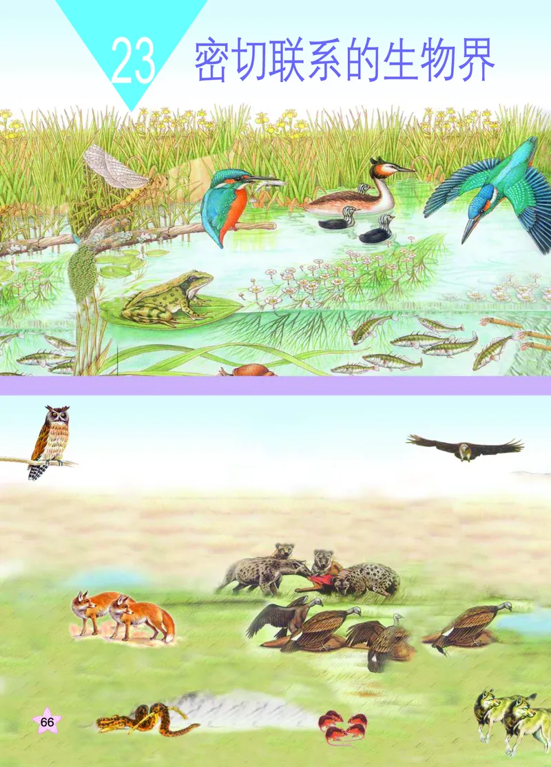 青岛版6年级科学上册高清教材_全部版本&bull;小学科学电子课本_青岛版63制小学科学课本