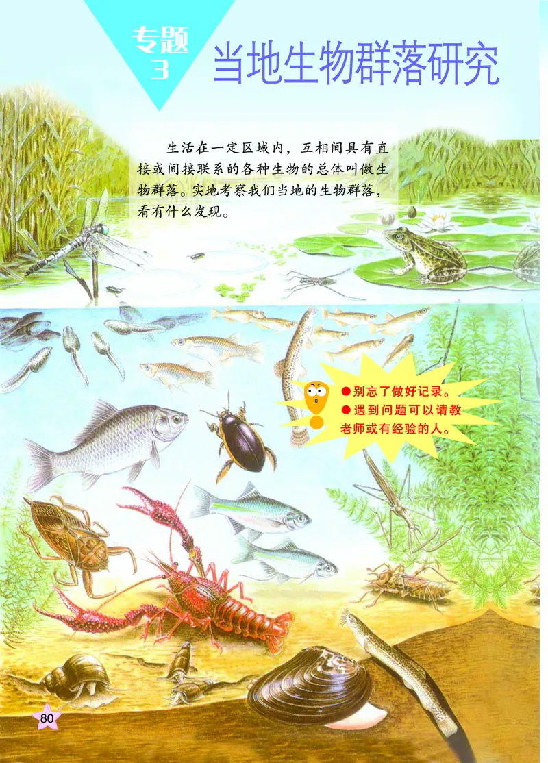 青岛版6年级科学上册高清教材_全部版本&bull;小学科学电子课本_青岛版63制小学科学课本