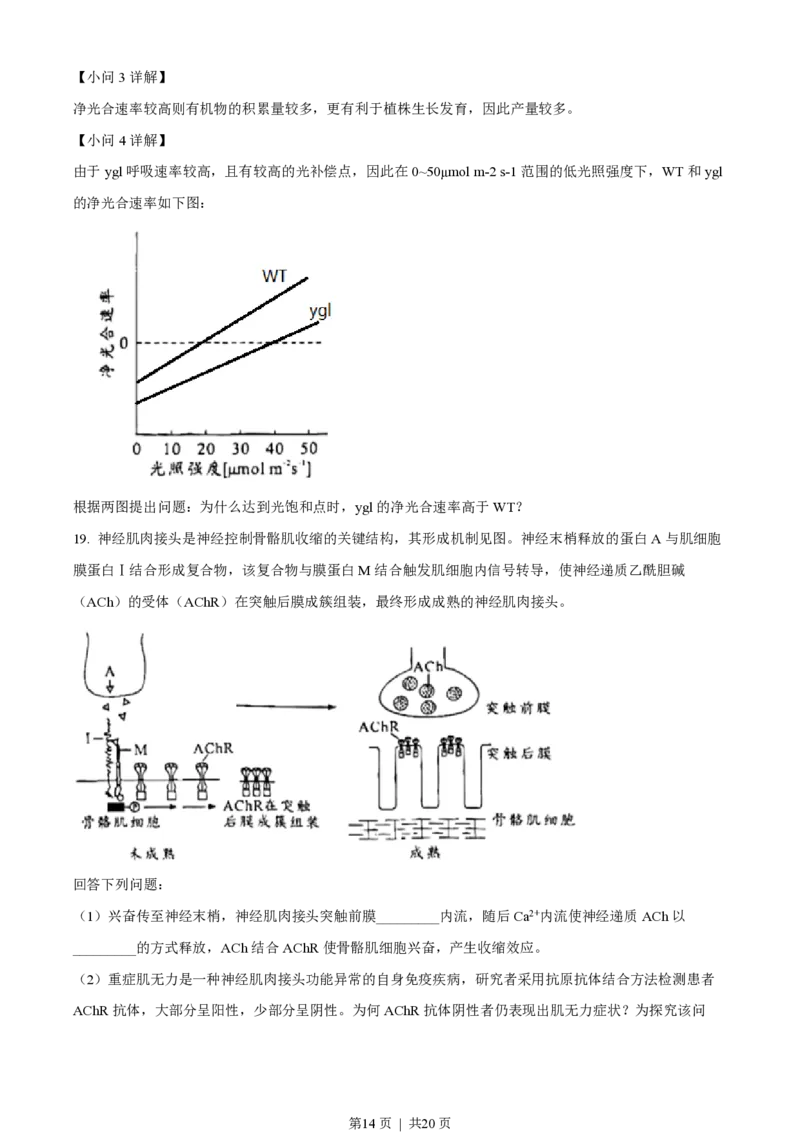 2023年高考生物试卷（广东）（解析卷）_生物历年高考真题_新&middot;PDF版2008-2025&middot;高考生物真题_生物（按省份分类）2008-2025_2008-2025&middot;（广东）生物高考真题
