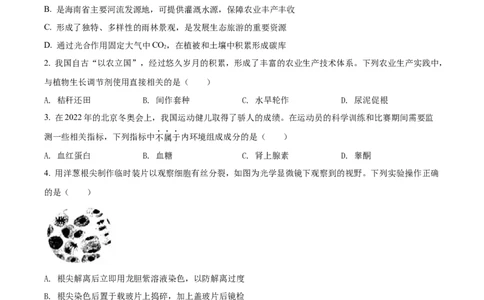 2022年高考生物试卷（广东）（空白卷）_生物历年高考真题_新&middot;Word版2008-2025&middot;高考生物真题_生物（按省份分类）2008-2025_2008-2025&middot;（广东）生物高考真题