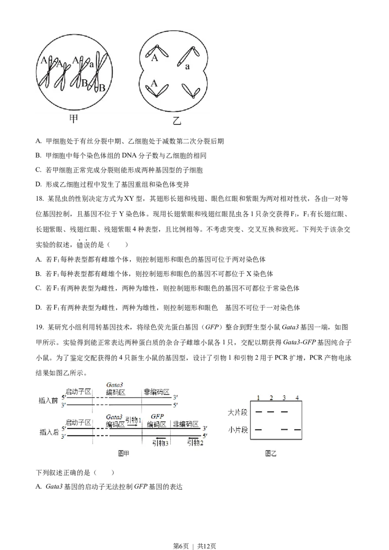 2023年高考生物试卷（浙江）（6月）（空白卷）_生物历年高考真题_新&middot;Word版2008-2025&middot;高考生物真题_生物（按试卷类型分类）2008-2025_自主命题卷&middot;生物（2008-2025）