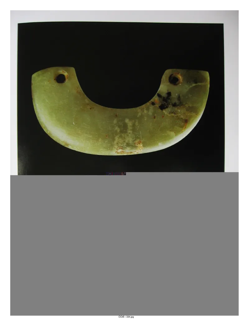 中国出土玉器全集(5)河南_部分1_X018-玉石珠宝鉴定教程最新合集_5、玉石鉴定专题全套课程_玉石电子书_中国出土玉石全集