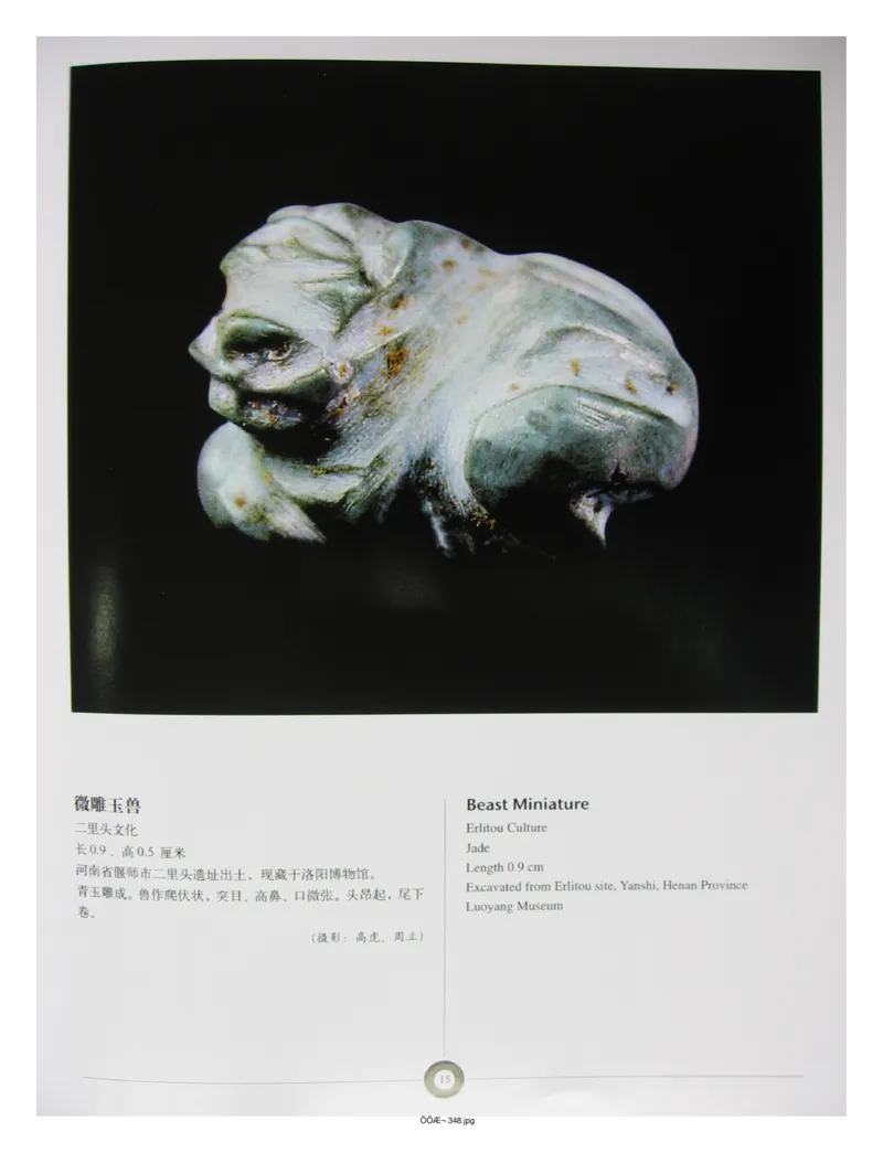 中国出土玉器全集(5)河南_部分1_X018-玉石珠宝鉴定教程最新合集_5、玉石鉴定专题全套课程_玉石电子书_中国出土玉石全集