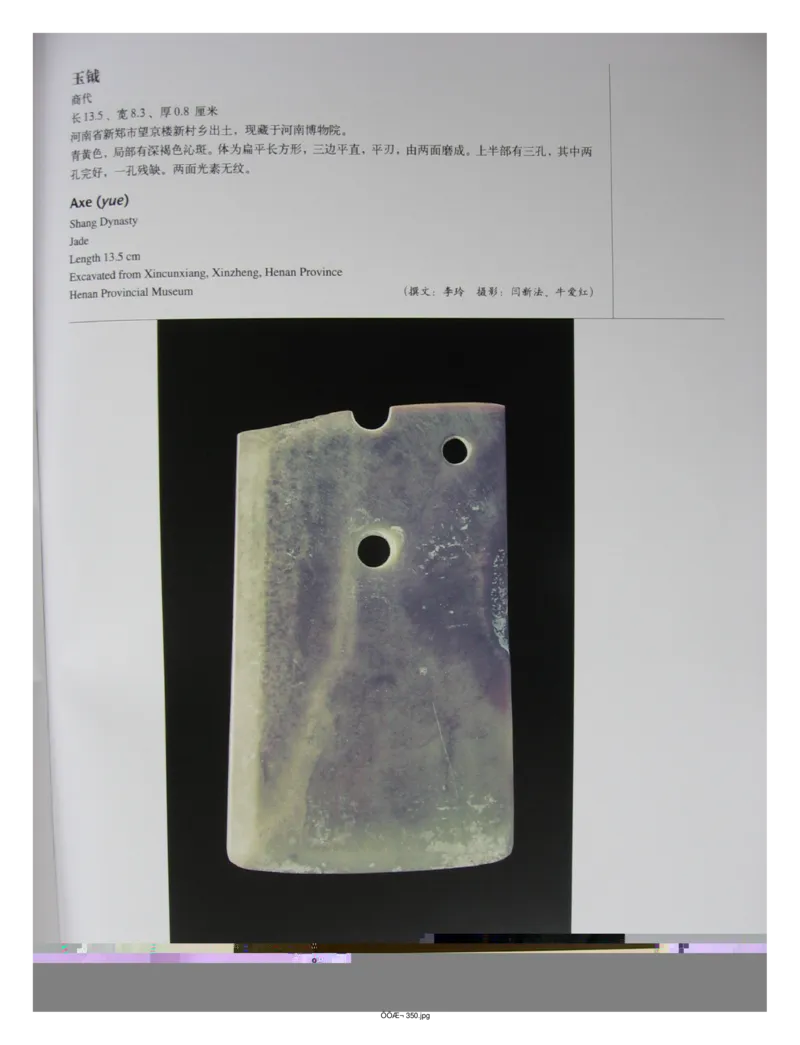 中国出土玉器全集(5)河南_部分1_X018-玉石珠宝鉴定教程最新合集_5、玉石鉴定专题全套课程_玉石电子书_中国出土玉石全集