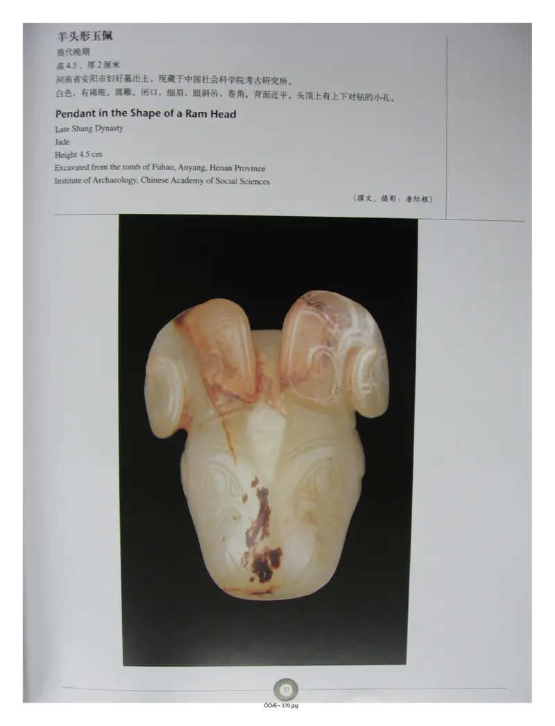 中国出土玉器全集(5)河南_部分1_X018-玉石珠宝鉴定教程最新合集_5、玉石鉴定专题全套课程_玉石电子书_中国出土玉石全集