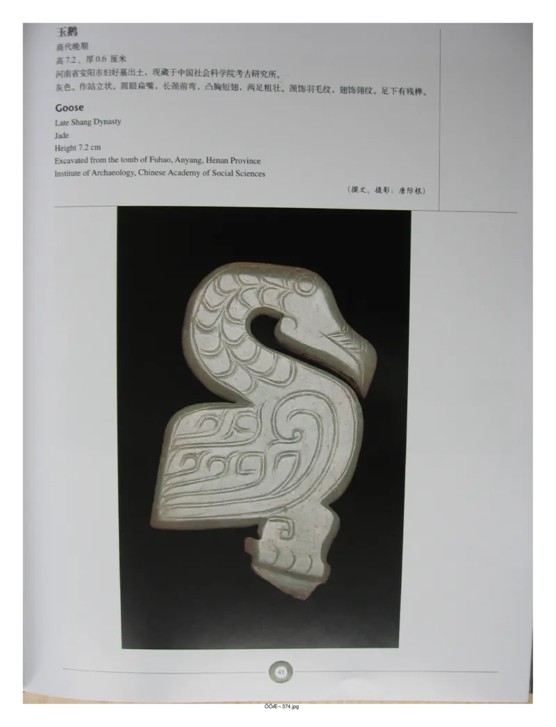 中国出土玉器全集(5)河南_部分1_X018-玉石珠宝鉴定教程最新合集_5、玉石鉴定专题全套课程_玉石电子书_中国出土玉石全集