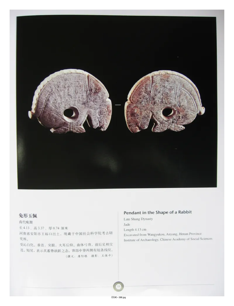 中国出土玉器全集(5)河南_部分1_X018-玉石珠宝鉴定教程最新合集_5、玉石鉴定专题全套课程_玉石电子书_中国出土玉石全集