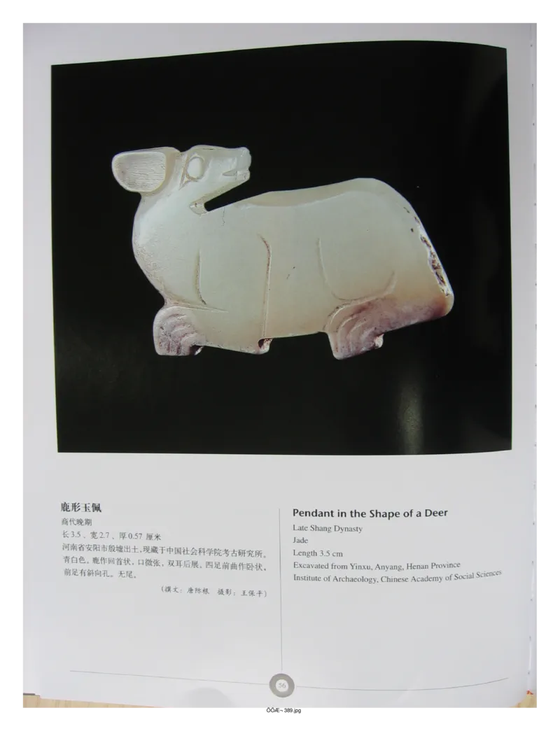 中国出土玉器全集(5)河南_部分1_X018-玉石珠宝鉴定教程最新合集_5、玉石鉴定专题全套课程_玉石电子书_中国出土玉石全集