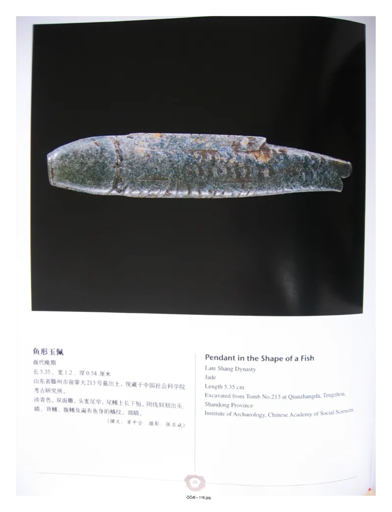 中国出土玉器全集(4)山东_部分1_X018-玉石珠宝鉴定教程最新合集_5、玉石鉴定专题全套课程_玉石电子书_中国出土玉石全集