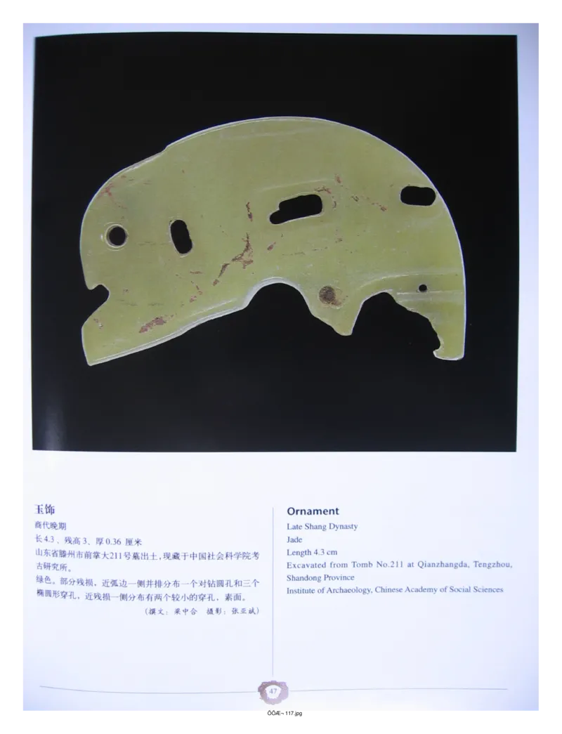 中国出土玉器全集(4)山东_部分1_X018-玉石珠宝鉴定教程最新合集_5、玉石鉴定专题全套课程_玉石电子书_中国出土玉石全集