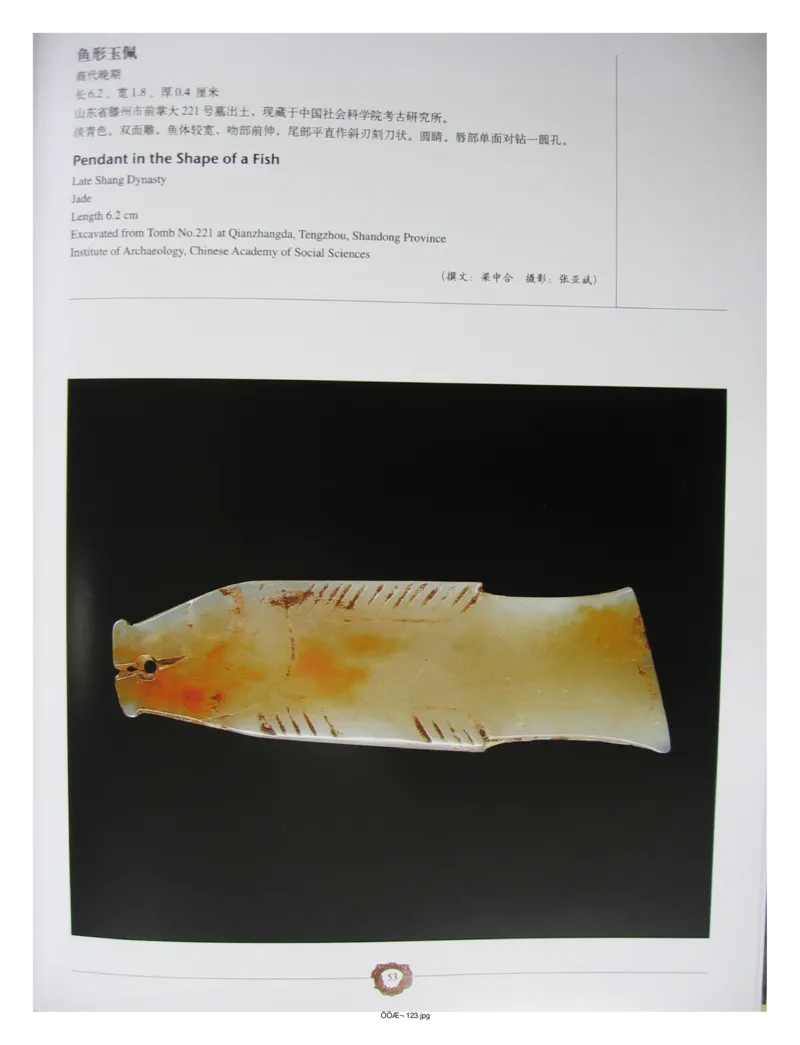 中国出土玉器全集(4)山东_部分1_X018-玉石珠宝鉴定教程最新合集_5、玉石鉴定专题全套课程_玉石电子书_中国出土玉石全集