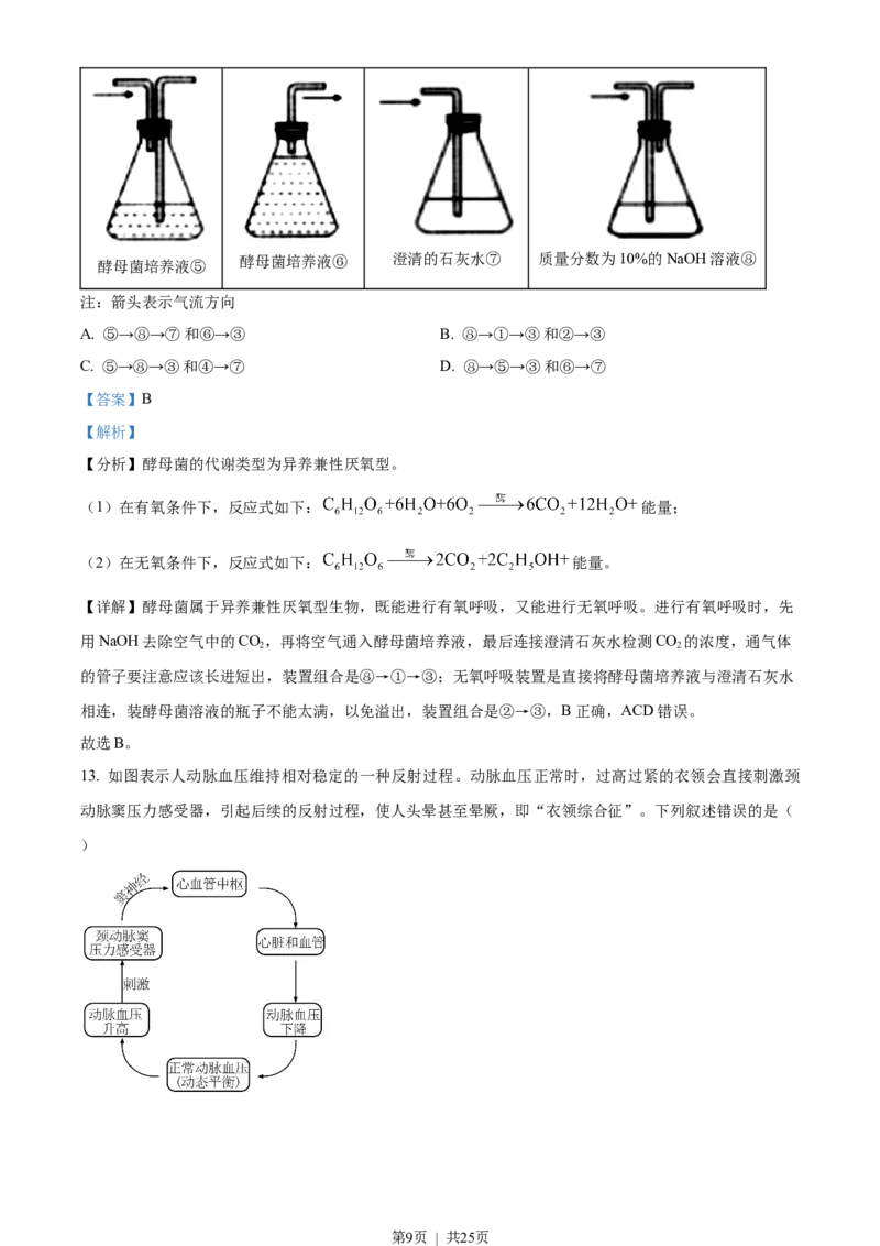 2022年高考生物试卷（重庆）（解析卷）_生物历年高考真题_新&middot;Word版2008-2025&middot;高考生物真题_生物（按试卷类型分类）2008-2025_自主命题卷&middot;生物（2008-2025）
