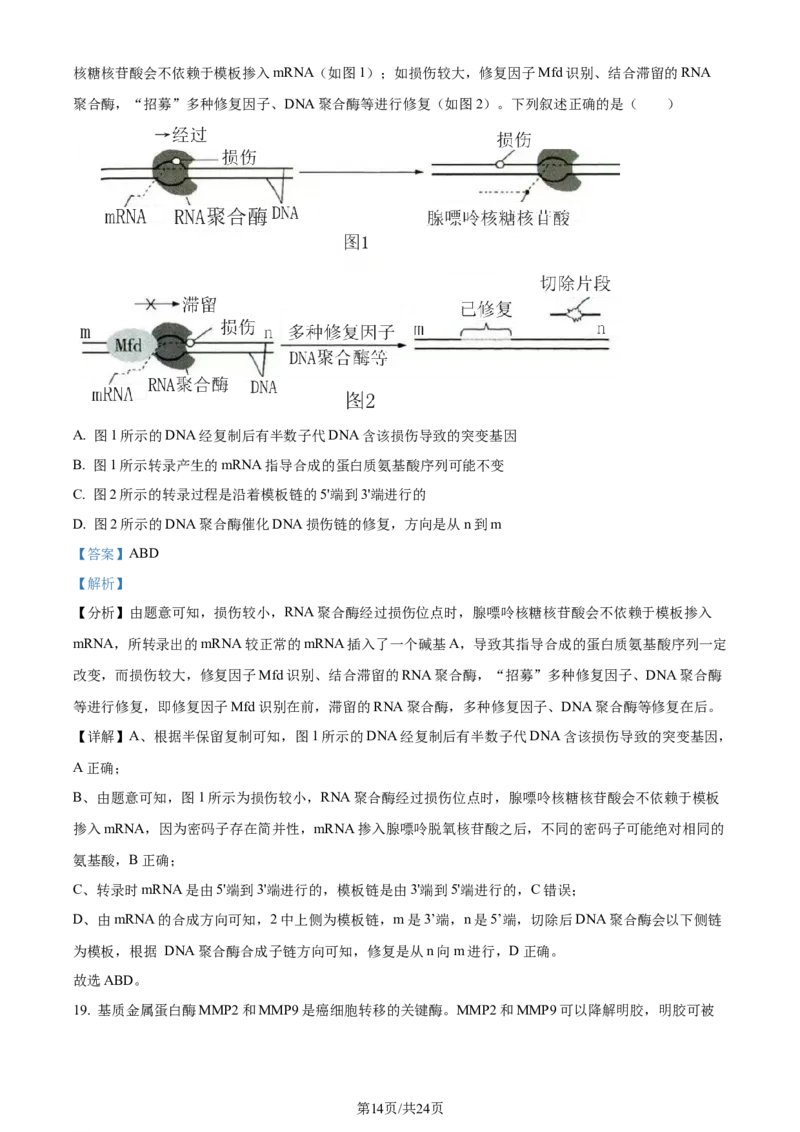 2023年高考生物试卷（辽宁）（解析卷）_生物历年高考真题_新&middot;Word版2008-2025&middot;高考生物真题_生物（按年份分类）2008-2025_2023&middot;高考生物真题