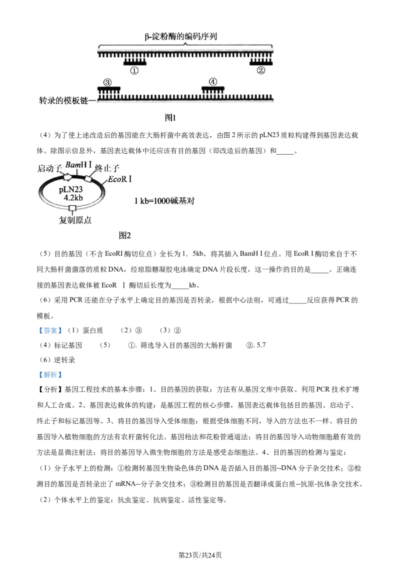 2023年高考生物试卷（辽宁）（解析卷）_生物历年高考真题_新&middot;Word版2008-2025&middot;高考生物真题_生物（按年份分类）2008-2025_2023&middot;高考生物真题