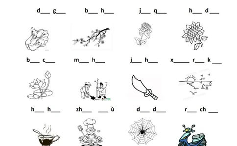 看图写拼音专题_拼音专项