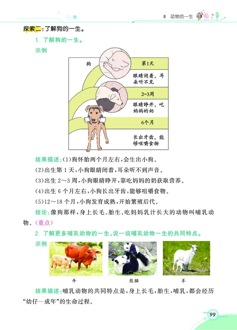 《七彩课堂》科学3年级下册（教科版）_三年级上下册资料_小学三年级学习资料-25年更新版_3-10、小学三年级科学下册_教科版_电子册类