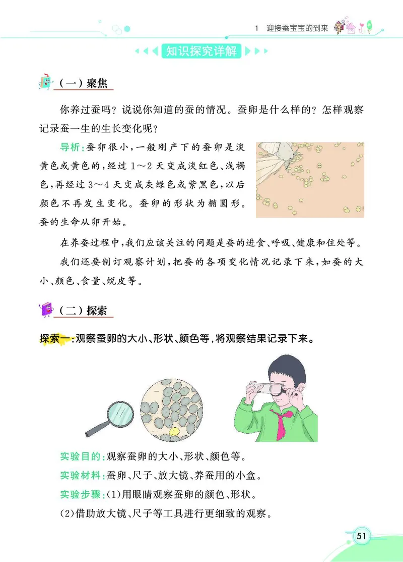 《七彩课堂》科学3年级下册（教科版）_三年级上下册资料_小学三年级学习资料-25年更新版_3-10、小学三年级科学下册_教科版_电子册类