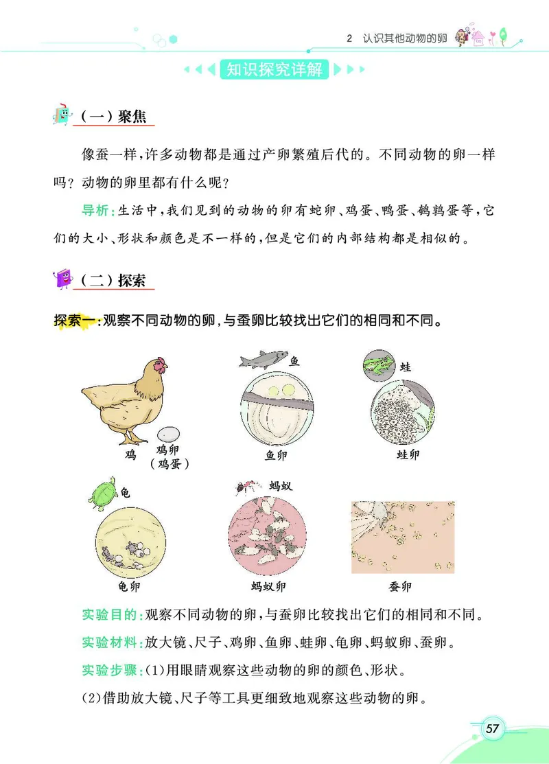 《七彩课堂》科学3年级下册（教科版）_三年级上下册资料_小学三年级学习资料-25年更新版_3-10、小学三年级科学下册_教科版_电子册类