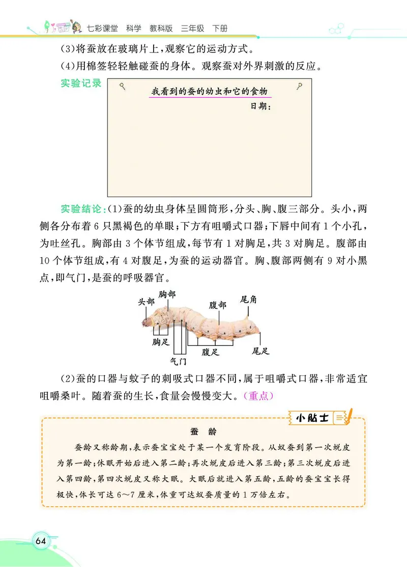 《七彩课堂》科学3年级下册（教科版）_三年级上下册资料_小学三年级学习资料-25年更新版_3-10、小学三年级科学下册_教科版_电子册类