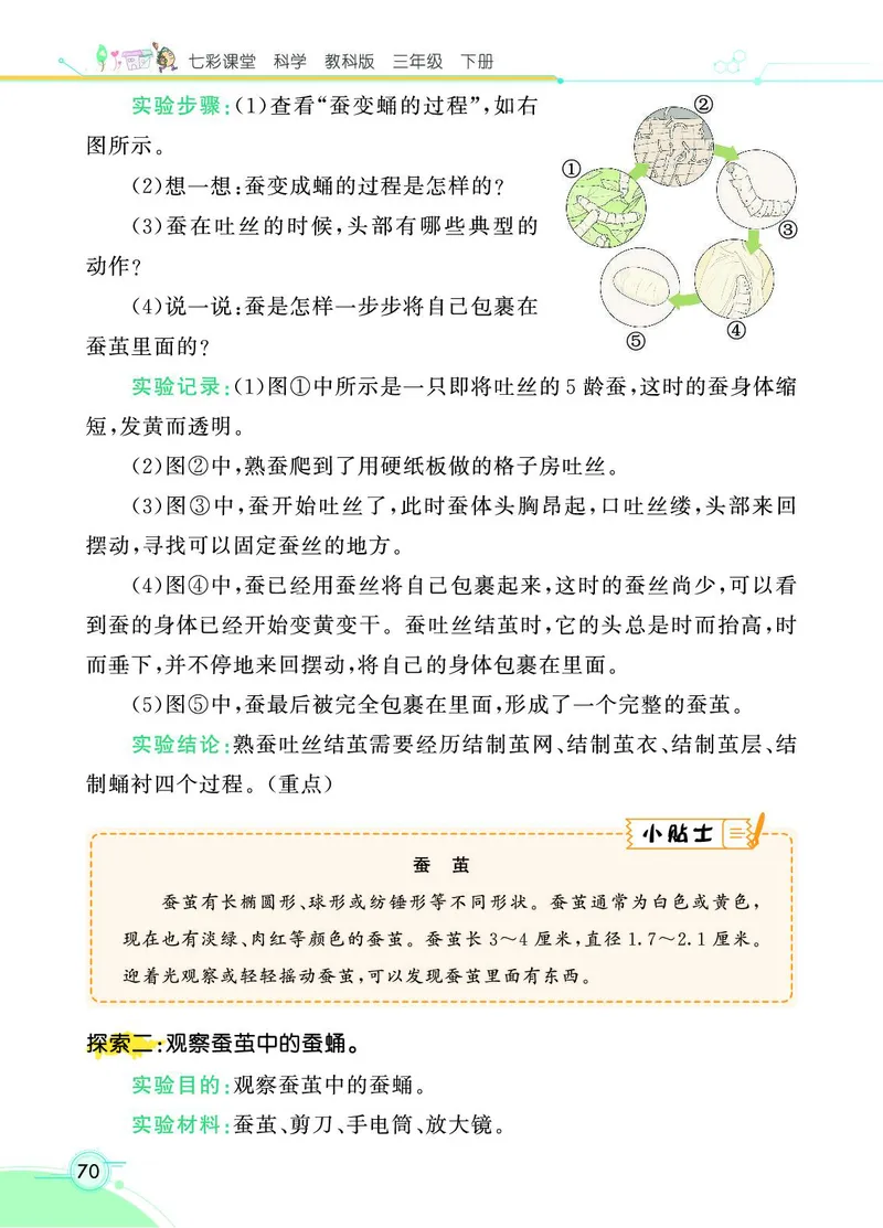 《七彩课堂》科学3年级下册（教科版）_三年级上下册资料_小学三年级学习资料-25年更新版_3-10、小学三年级科学下册_教科版_电子册类