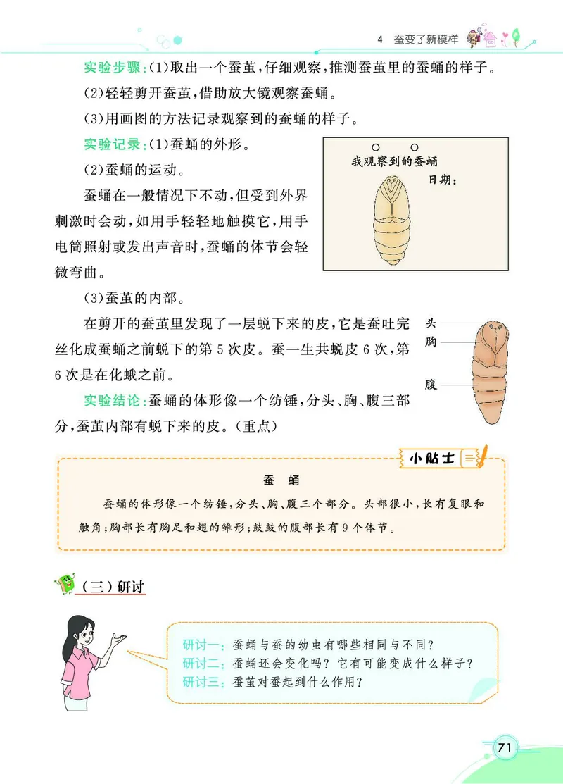 《七彩课堂》科学3年级下册（教科版）_三年级上下册资料_小学三年级学习资料-25年更新版_3-10、小学三年级科学下册_教科版_电子册类