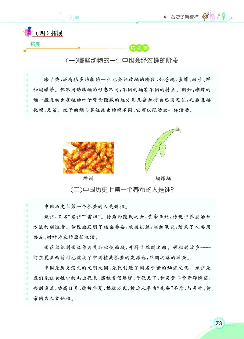 《七彩课堂》科学3年级下册（教科版）_三年级上下册资料_小学三年级学习资料-25年更新版_3-10、小学三年级科学下册_教科版_电子册类