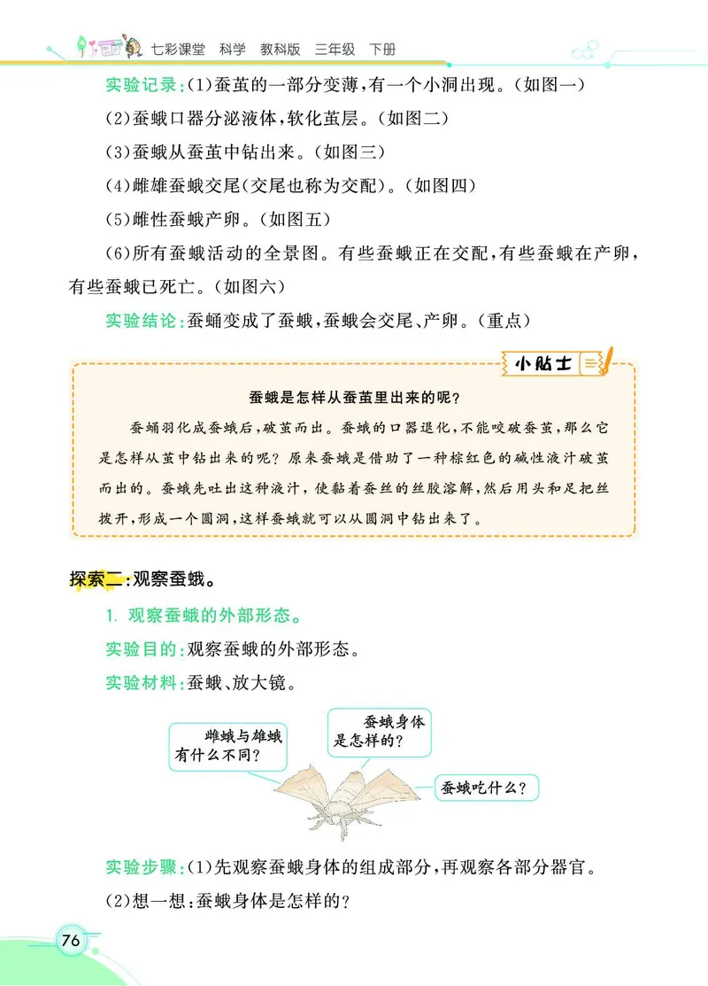 《七彩课堂》科学3年级下册（教科版）_三年级上下册资料_小学三年级学习资料-25年更新版_3-10、小学三年级科学下册_教科版_电子册类